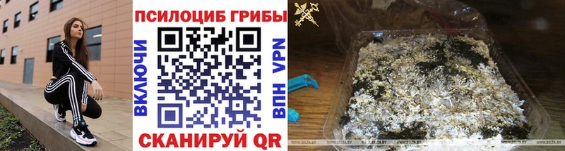 Псилоцибиновые грибы Magic Shrooms  даркнет сайт  Красавино 
